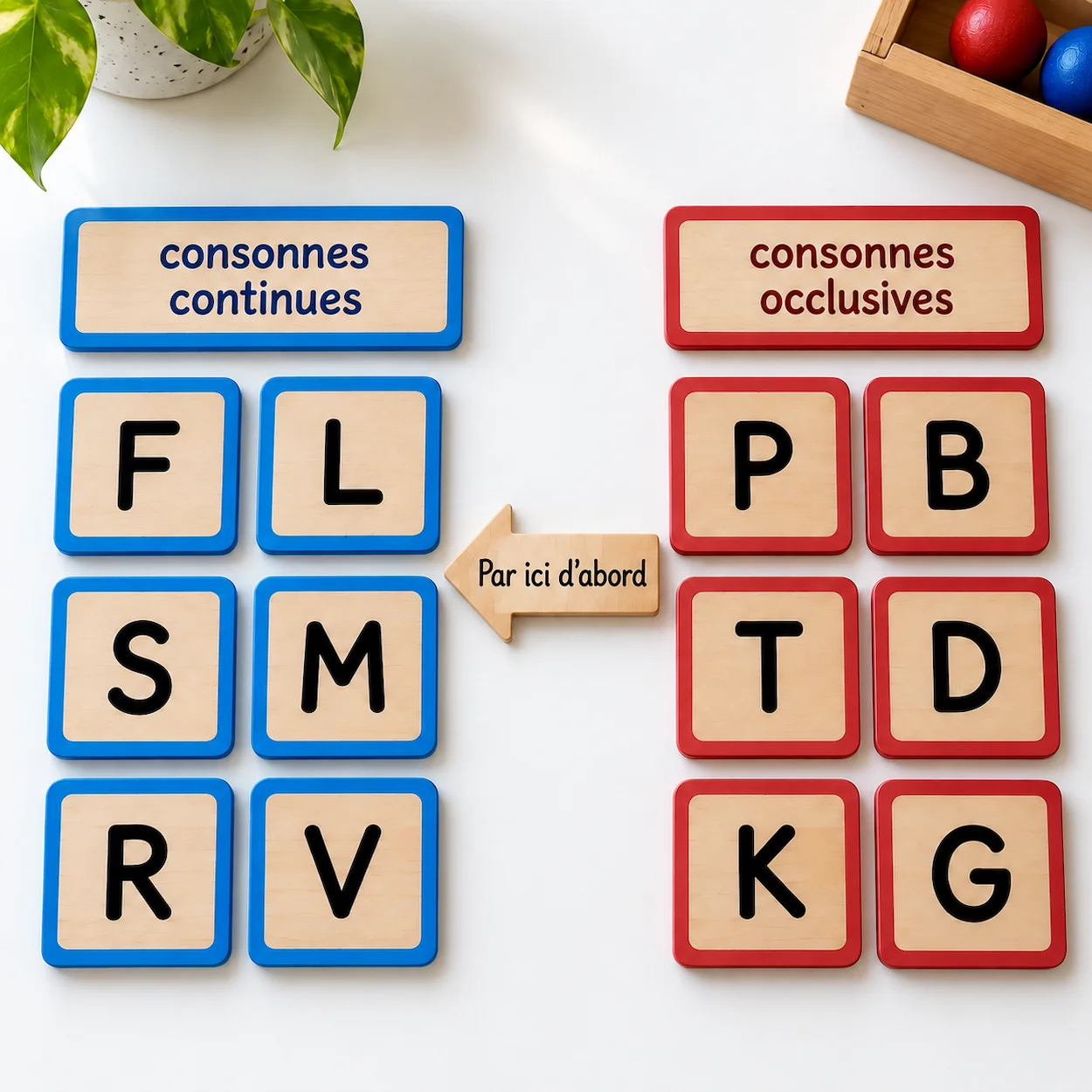 Cartes Montessori phoniques : groupe de cartes bleues consonnes continues F L S M R V et groupe de cartes rouges consonnes occlusives P B T D K G avec flèche indiquant l'ordre d'introduction