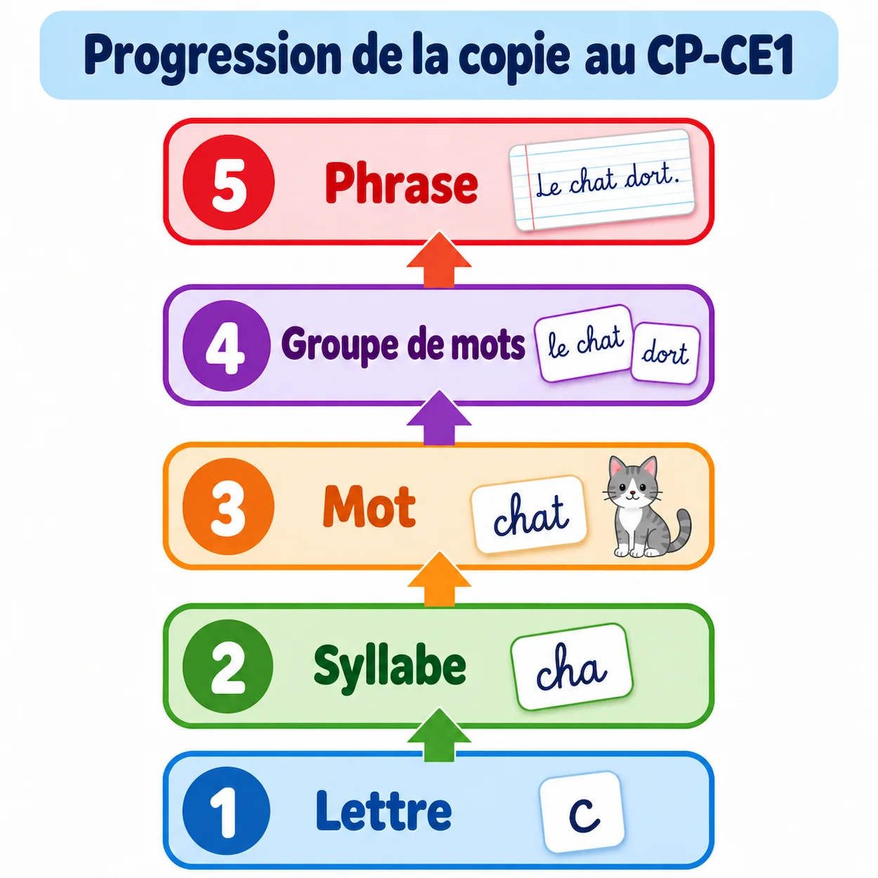 Infographie pedagogique montrant la progression de la copie au CP-CE1 en 5 niveaux : Lettre en bleu, Syllabe en vert, Mot en orange, Groupe de mots en violet et Phrase en rouge, chaque etape connectee par une fleche ascendante.